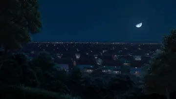 Zasłona do filmu "Skok przez płot" #1642722