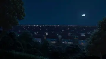 Zasłona do filmu "Skok przez płot" #669140