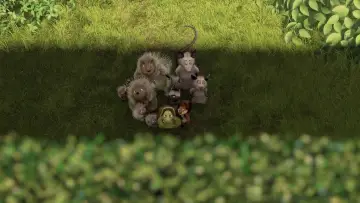 Zasłona do filmu "Skok przez płot" #669163