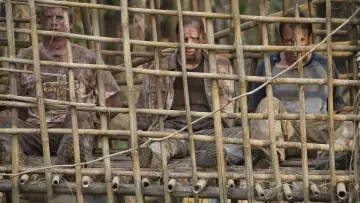 Zasłona do filmu "John Rambo" #268897