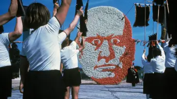 Zasłona do filmu "Amarcord" #182945
