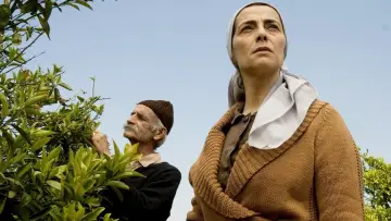 Zasłona do filmu "Drzewo cytrynowe" #485941