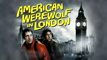 Zasłona do filmu "Amerykański wilkołak w Londynie" #1725067