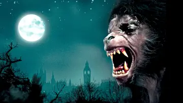 Zasłona do filmu "Amerykański wilkołak w Londynie" #220309