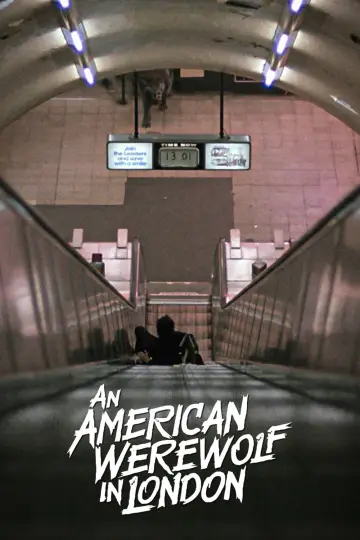 Plakat do filmu "Amerykański wilkołak w Londynie" #50304