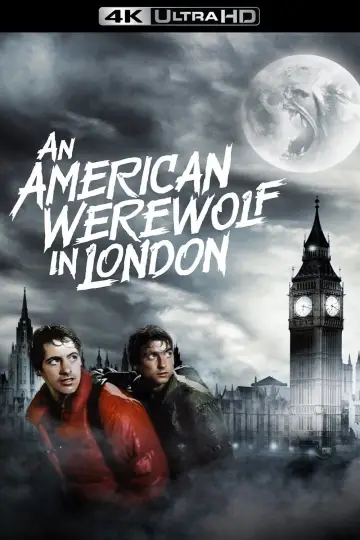 Plakat do filmu "Amerykański wilkołak w Londynie" #50317