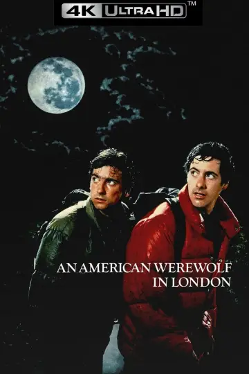 Plakat do filmu "Amerykański wilkołak w Londynie" #50318