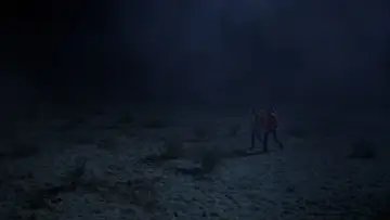 Zasłona do filmu "Amerykański wilkołak w Londynie" #701824