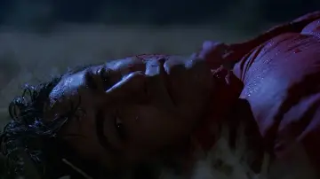 Zasłona do filmu "Amerykański wilkołak w Londynie" #701849