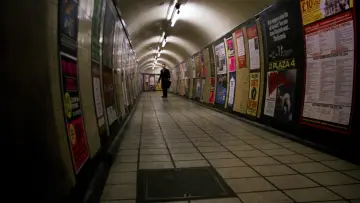 Zasłona do filmu "Amerykański wilkołak w Londynie" #701862