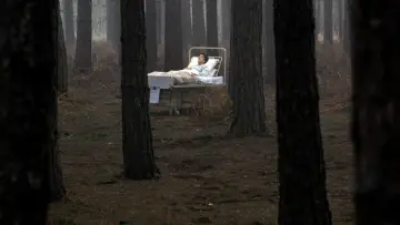 Zasłona do filmu "Amerykański wilkołak w Londynie" #701886