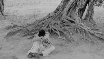 Zasłona do filmu "অপরাজিত" #1027922