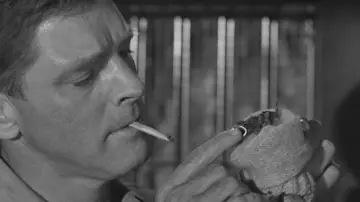 Zasłona do filmu "Ptasznik z Alcatraz" #883939