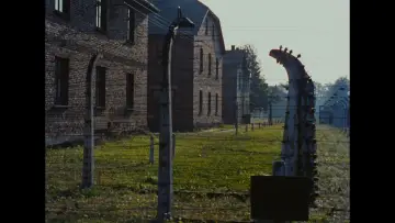 Zasłona do filmu "Noc i mgła" #920102