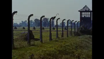 Zasłona do filmu "Noc i mgła" #920103