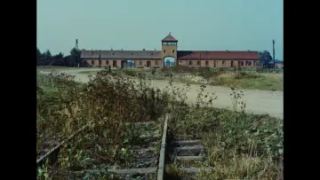 Zasłona do filmu "Noc i mgła" #920104