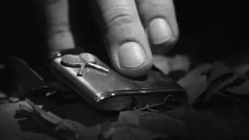 Zasłona do filmu "Nieznajomi z pociągu" #801732