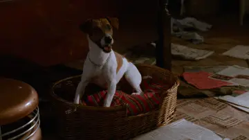 Zasłona do filmu "Maska" #582302