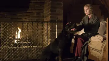 Zasłona do filmu "Omen" #341678