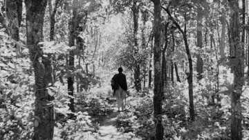 Zasłona do filmu "অপুর সংসার" #382686