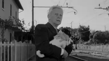 Umberto D.