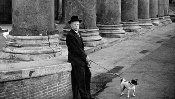 Zasłona do filmu "Umberto D." #183922