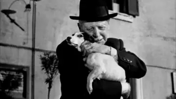 Zasłona do filmu "Umberto D." #183923