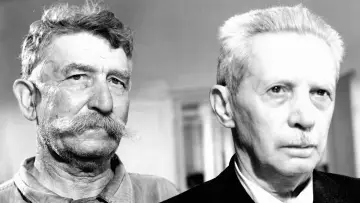 Zasłona do filmu "Umberto D." #183925