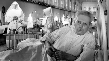 Zasłona do filmu "Umberto D." #752719