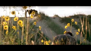 Zasłona do filmu "Trzy pogrzeby Melquiadesa Estrady" #992157