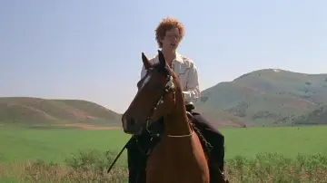 Zasłona do filmu "Napoleon Wybuchowiec" #899585