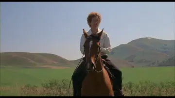Zasłona do filmu "Napoleon Wybuchowiec" #922140