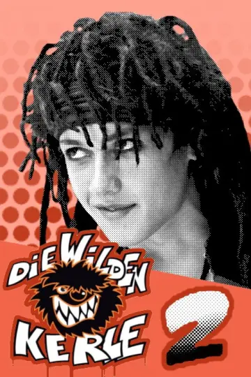Die Wilden Kerle 2