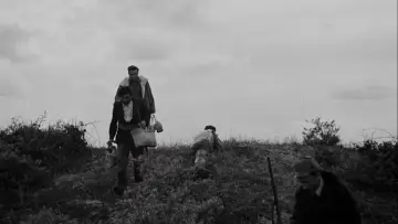 Zasłona do filmu "Paisà" #1087145