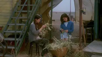 Zasłona do filmu "スワロウテイル" #1079591