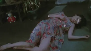 Zasłona do filmu "スワロウテイル" #1079598