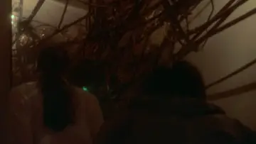 Zasłona do filmu "スワロウテイル" #1079617