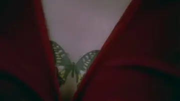 Zasłona do filmu "スワロウテイル" #1835046