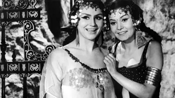 Zasłona do filmu "Rękopis znaleziony w Saragossie" #1648737
