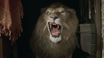 Zasłona do filmu "Jumanji" #1277996
