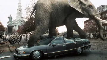 Zasłona do filmu "Jumanji" #1580728