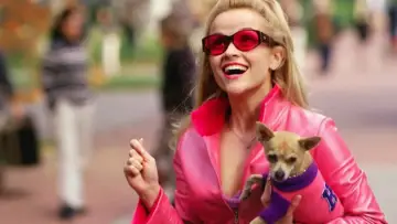 Zasłona do filmu "Legalna blondynka" #265922