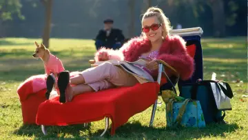 Zasłona do filmu "Legalna blondynka" #616091