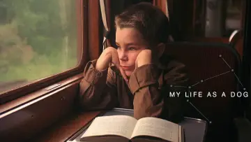 Zasłona do filmu "Moje pieskie życie" #157012