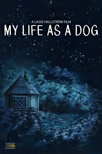 Plakat do filmu "Moje pieskie życie" #157016