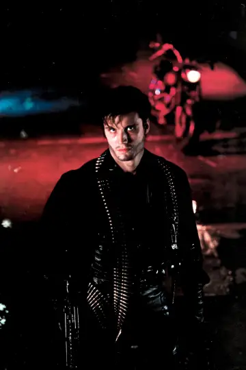Plakat do filmu "Punisher" #338139