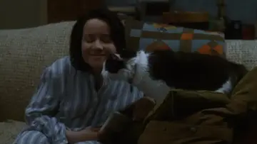 Zasłona do filmu "Jak pies z kotem" #392922