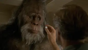 Zasłona do filmu "Harry i Hendersonowie" #946807