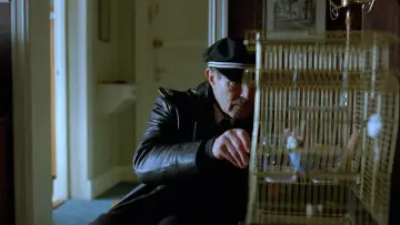 Zasłona do filmu "O