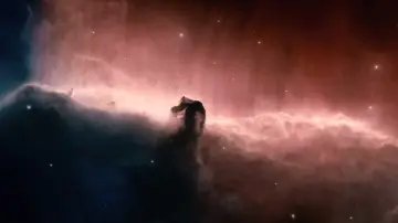 Zasłona do filmu "Drzewo życia" #266188